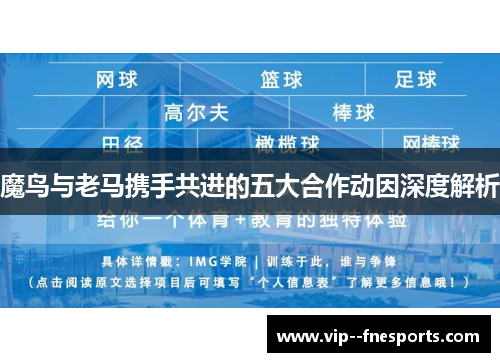 魔鸟与老马携手共进的五大合作动因深度解析